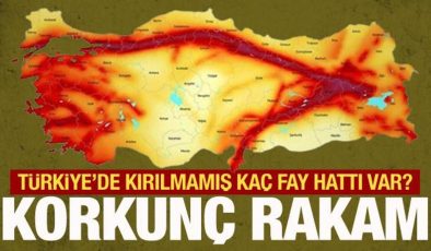 Bakan Özhaseki: 500’e yakın kırılmamış fay hattı var ülkemizde