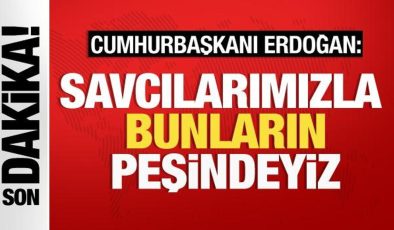 Cumhurbaşkanı Erdoğan: 29 vatandaşımızın ölümüne göz yumanların peşindeyiz