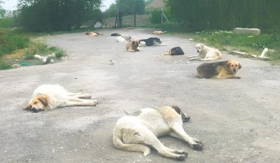 Bu sokakta Ankaralıların can güvenliği yok! Vatandaş canından bezdi