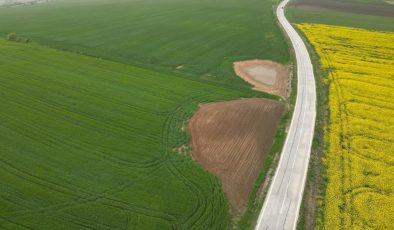 Trakya’da etkili olan yağışlar buğday ve kanola üreticisini ümitlendirdi