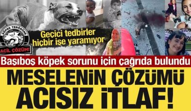 Başıboş köpek sorunu için çağrıda bulundu: Meselenin çözümü acısız itlaf!