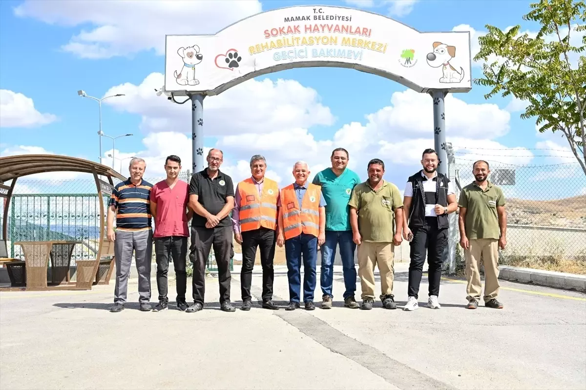 Mamak’ta Sokak Hayvanları İçin Yeni Proje